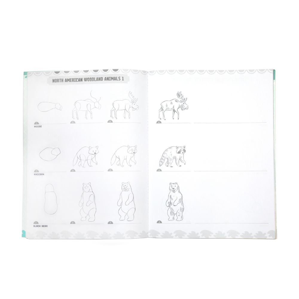 eeBoo Learn to Draw - Wild Animals