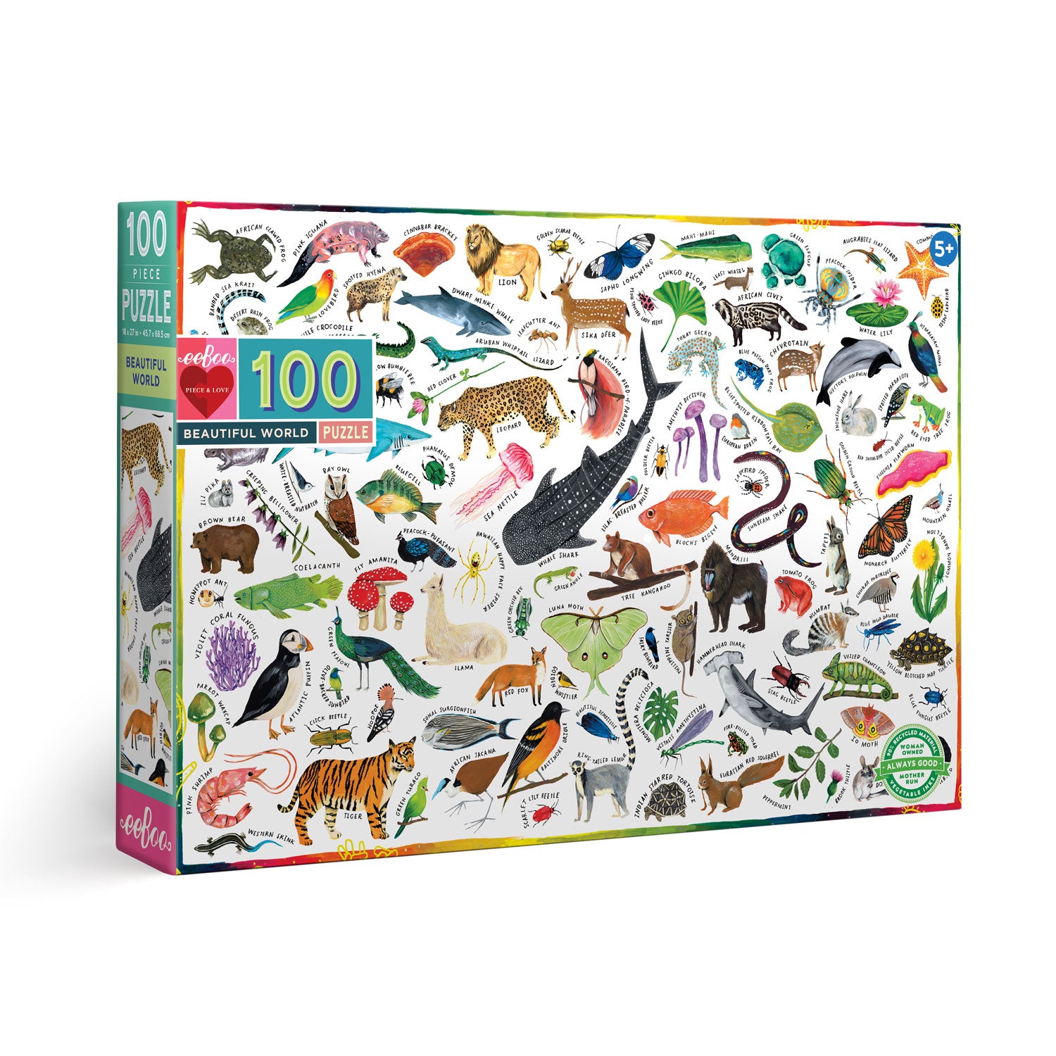 eeBoo 100 Piece Jigsaw Puzzle - Beautiful World image 0