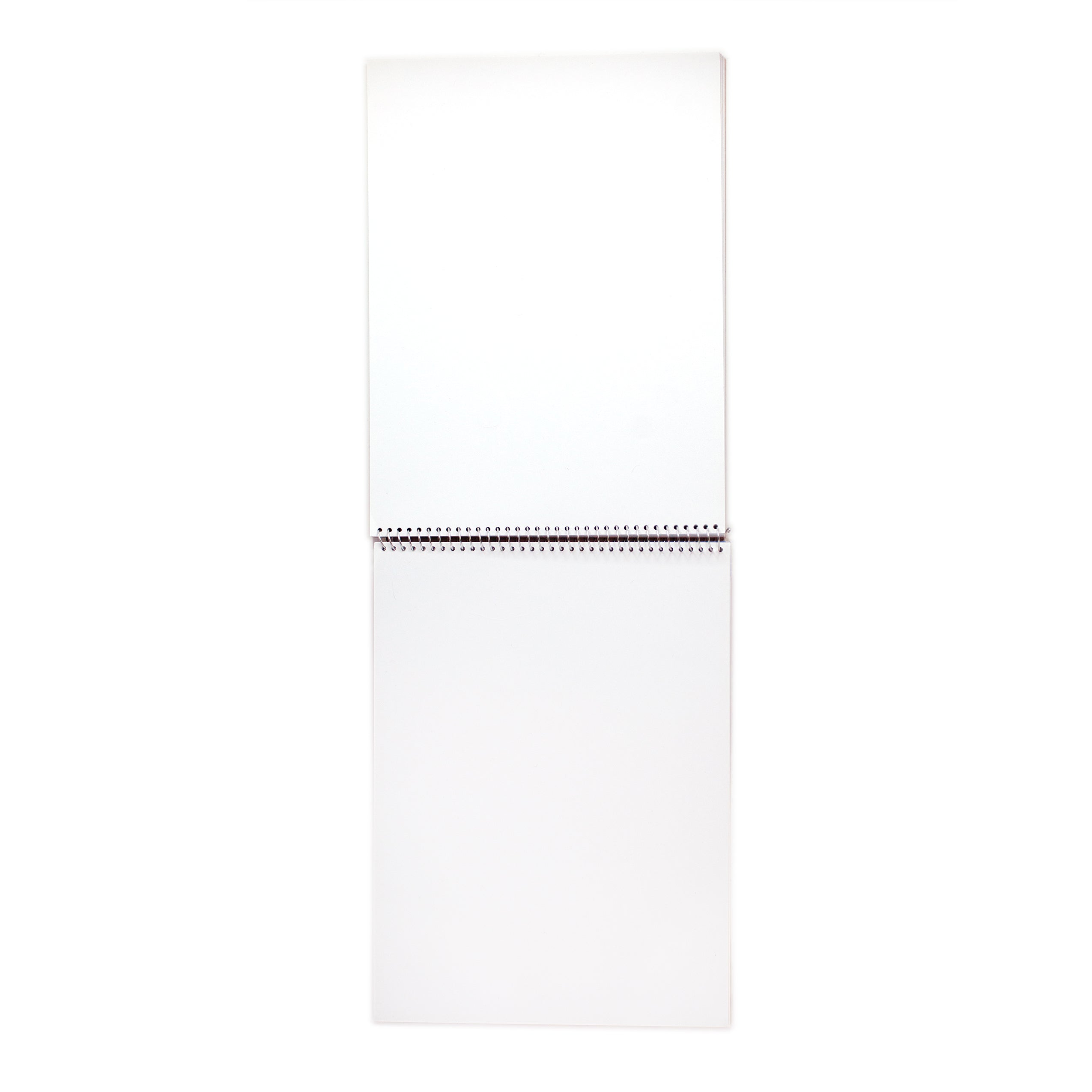 eeBoo Sketchbook - Life on Earth image 1