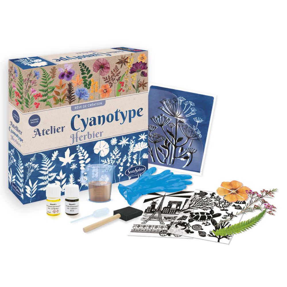 Sentosphere Cyanotype Workshop