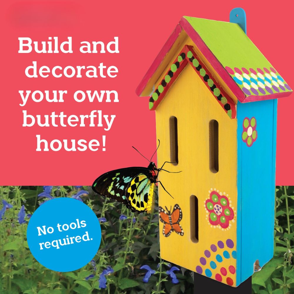MindWare Make Your Own Butterfly House Craft Kit
