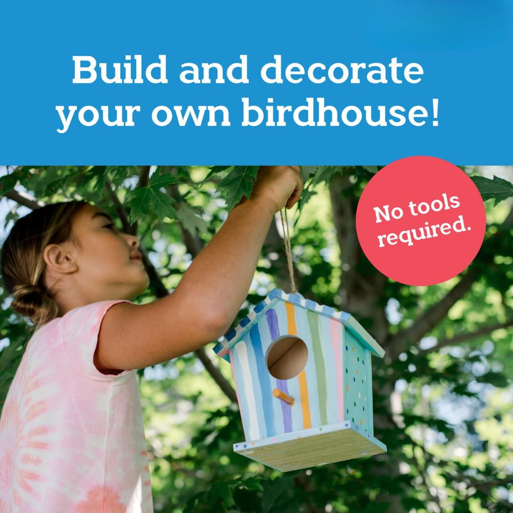 MindWare Make Your Own Wooden Birdhouse Craft Kit