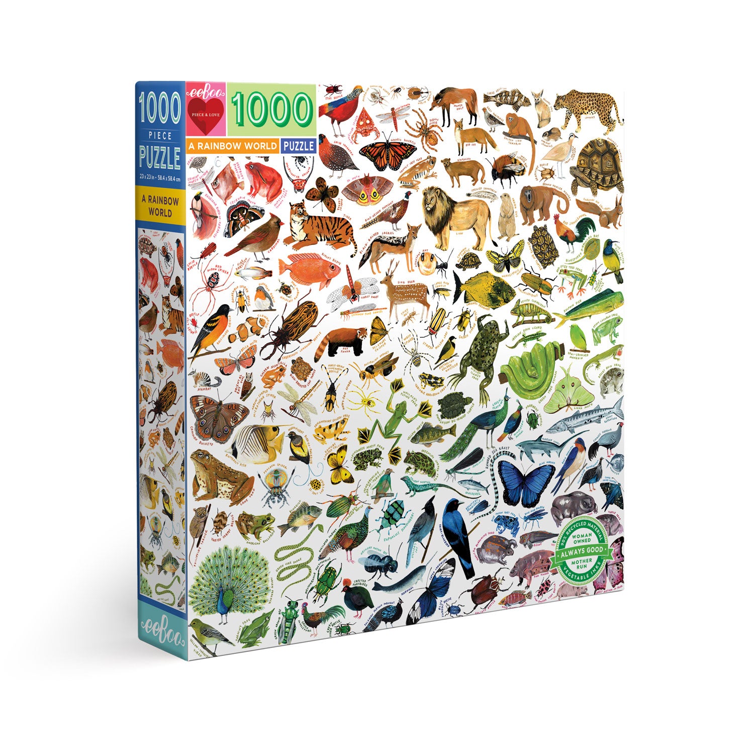 eeBoo 1000 Piece Jigsaw Puzzle - A Rainbow World