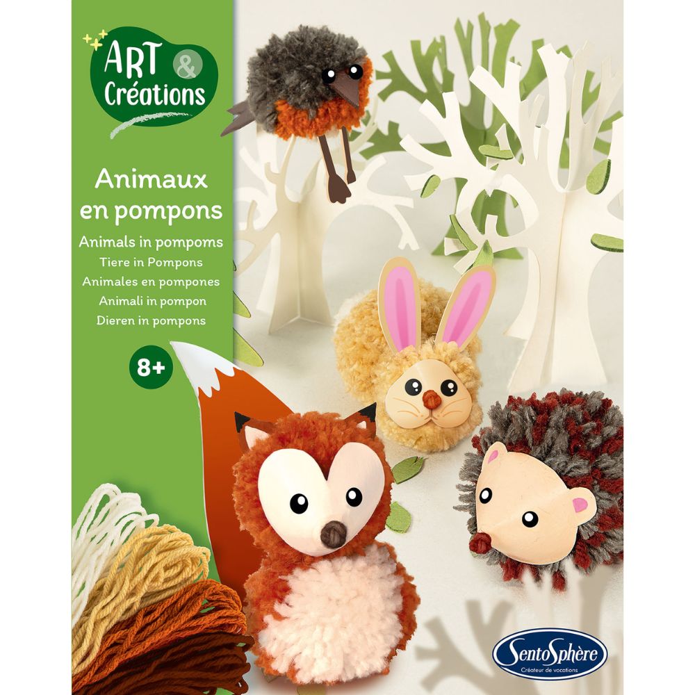 pom pom craft kit for kids