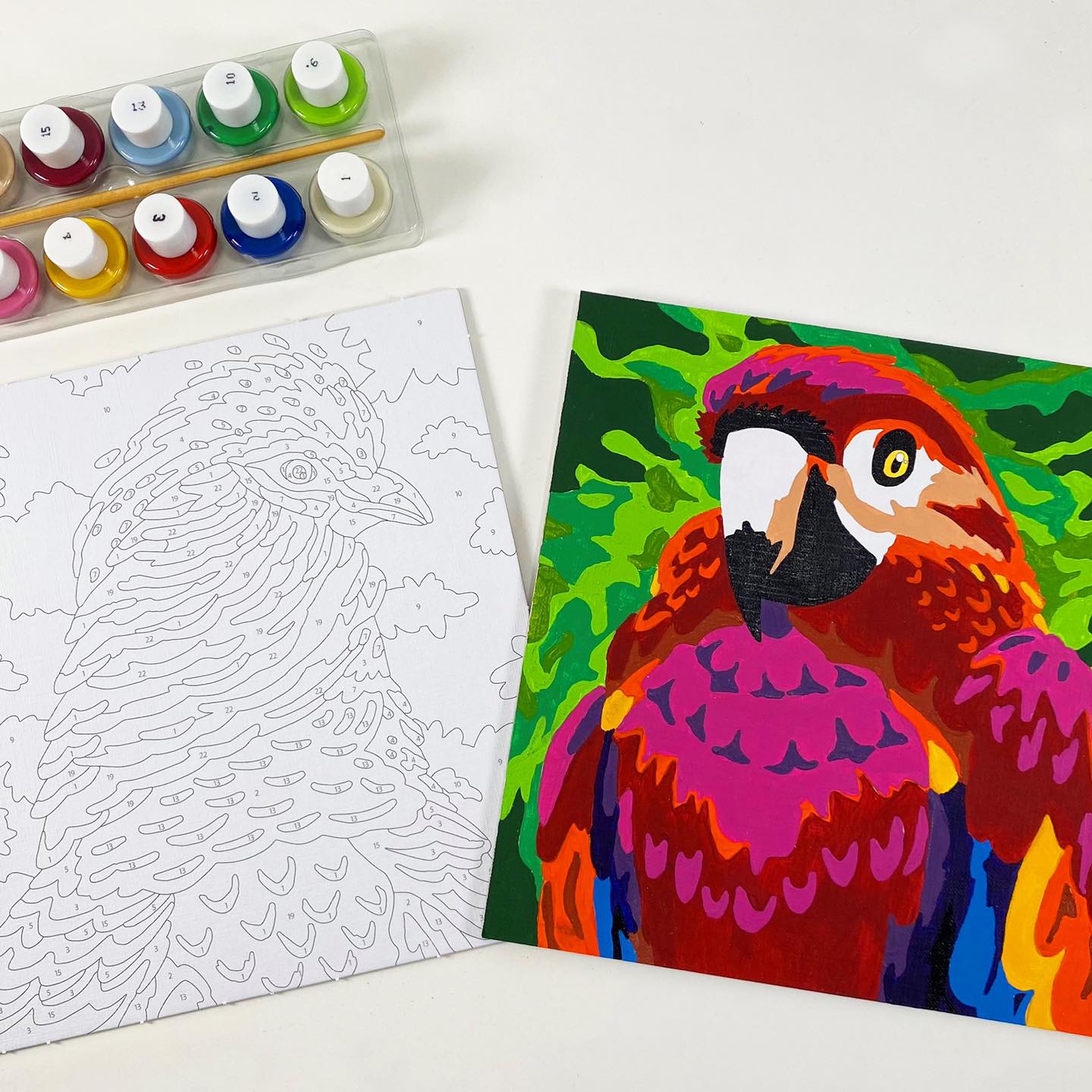 Colorizzy Paint By Numbers - Birds