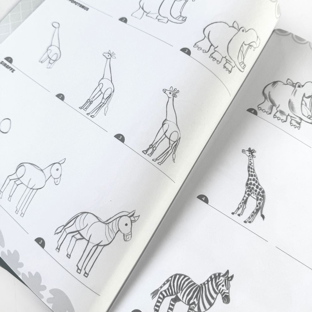 eeBoo Learn to Draw - Wild Animals