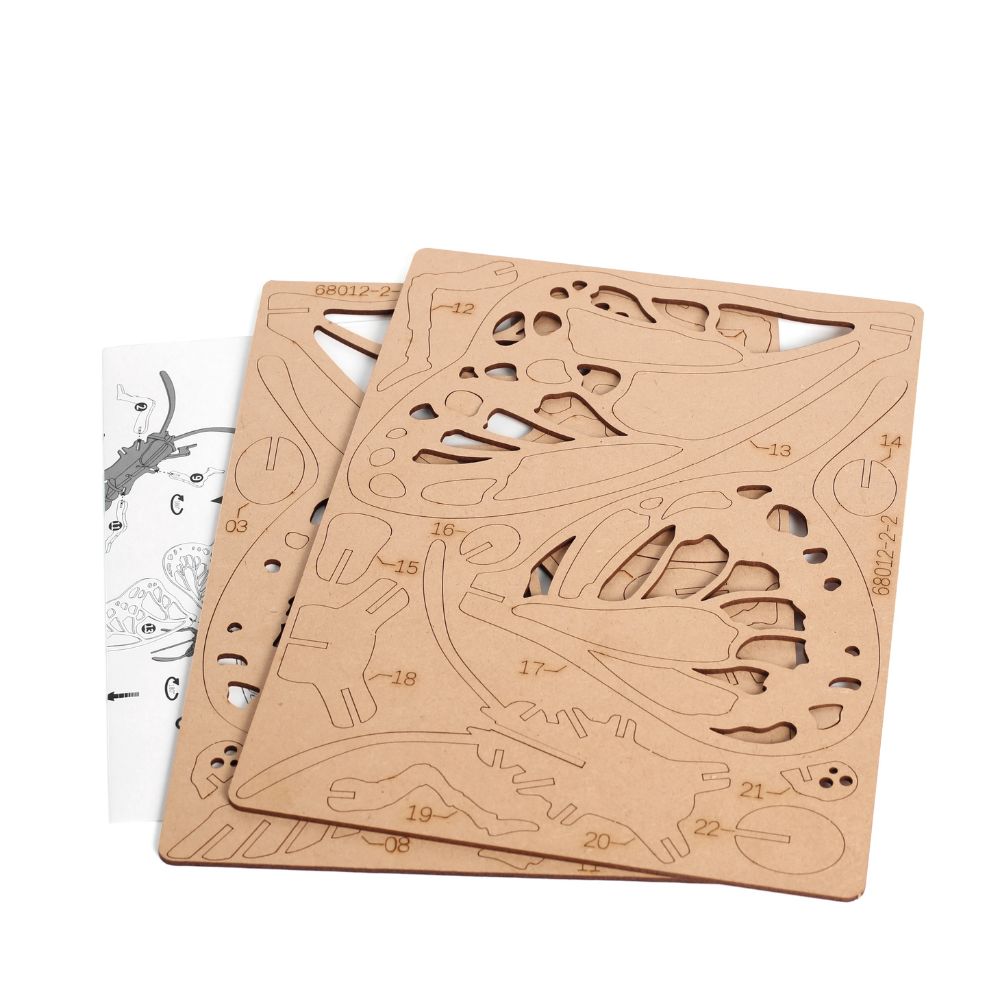 Graine Creative 3D Model - Butterfly (22 pcs)