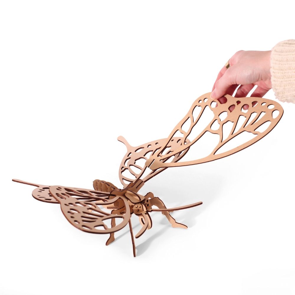 Graine Creative 3D Model - Butterfly (22 pcs)