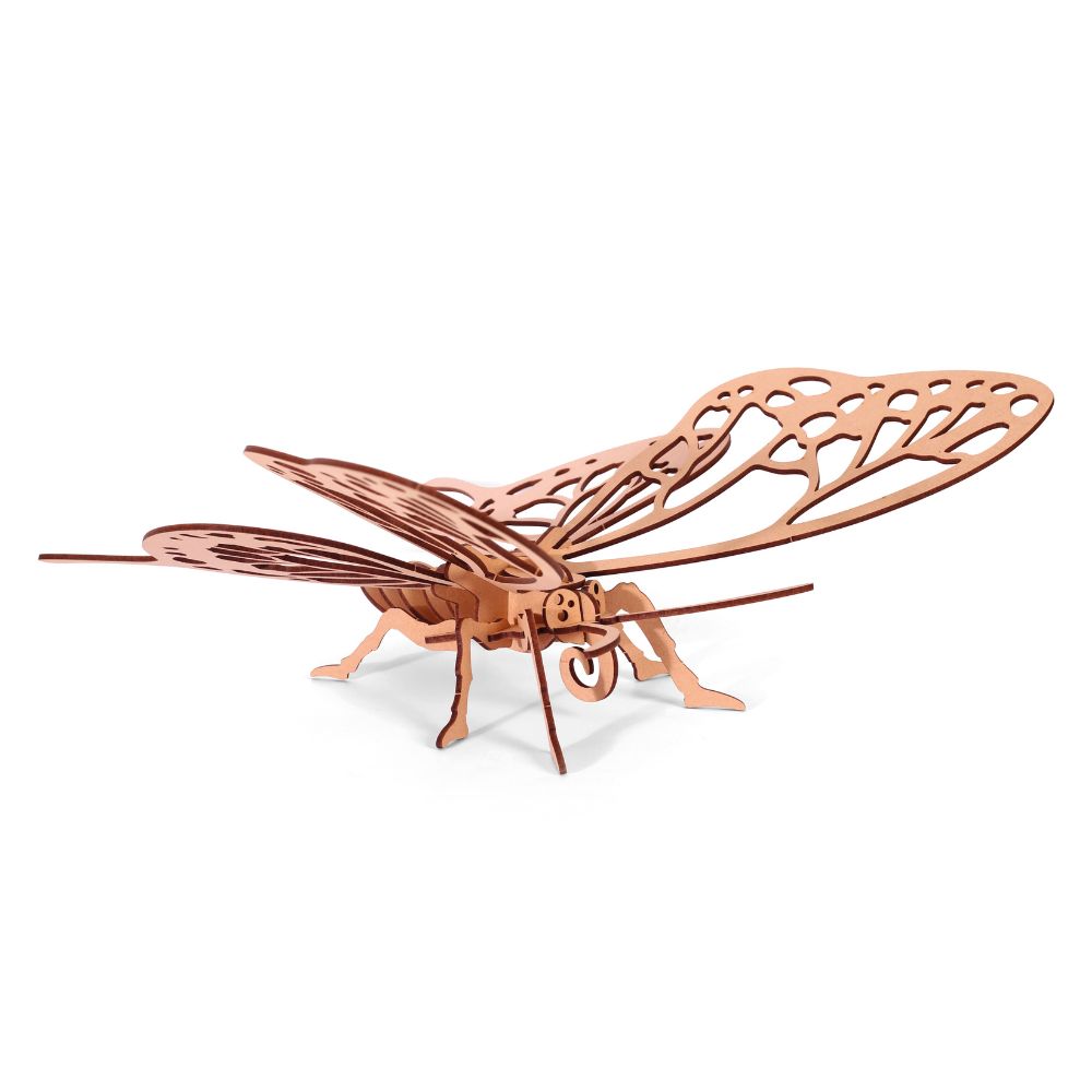 Graine Creative 3D Model - Butterfly (22 pcs)