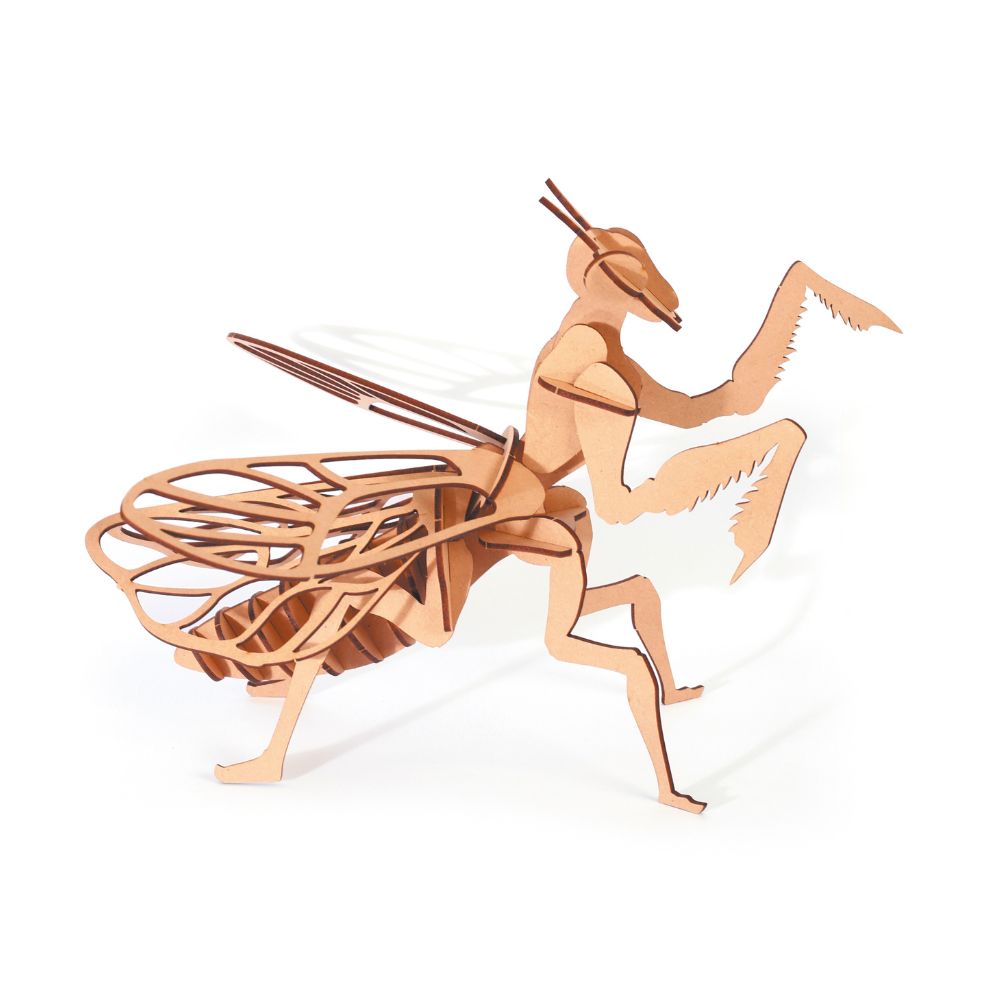Graine Creative 3D Model - Praying Mantis (27 pcs)