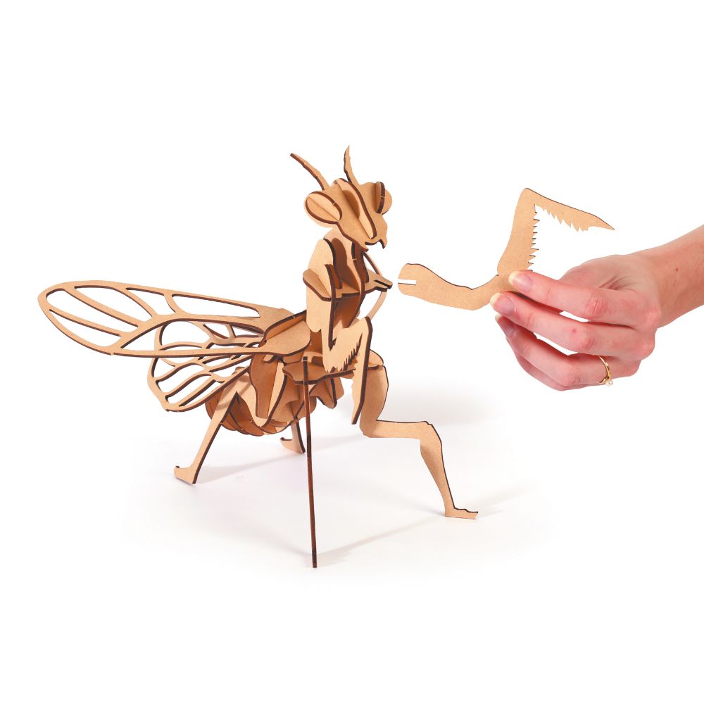 Graine Creative 3D Model - Praying Mantis (27 pcs)