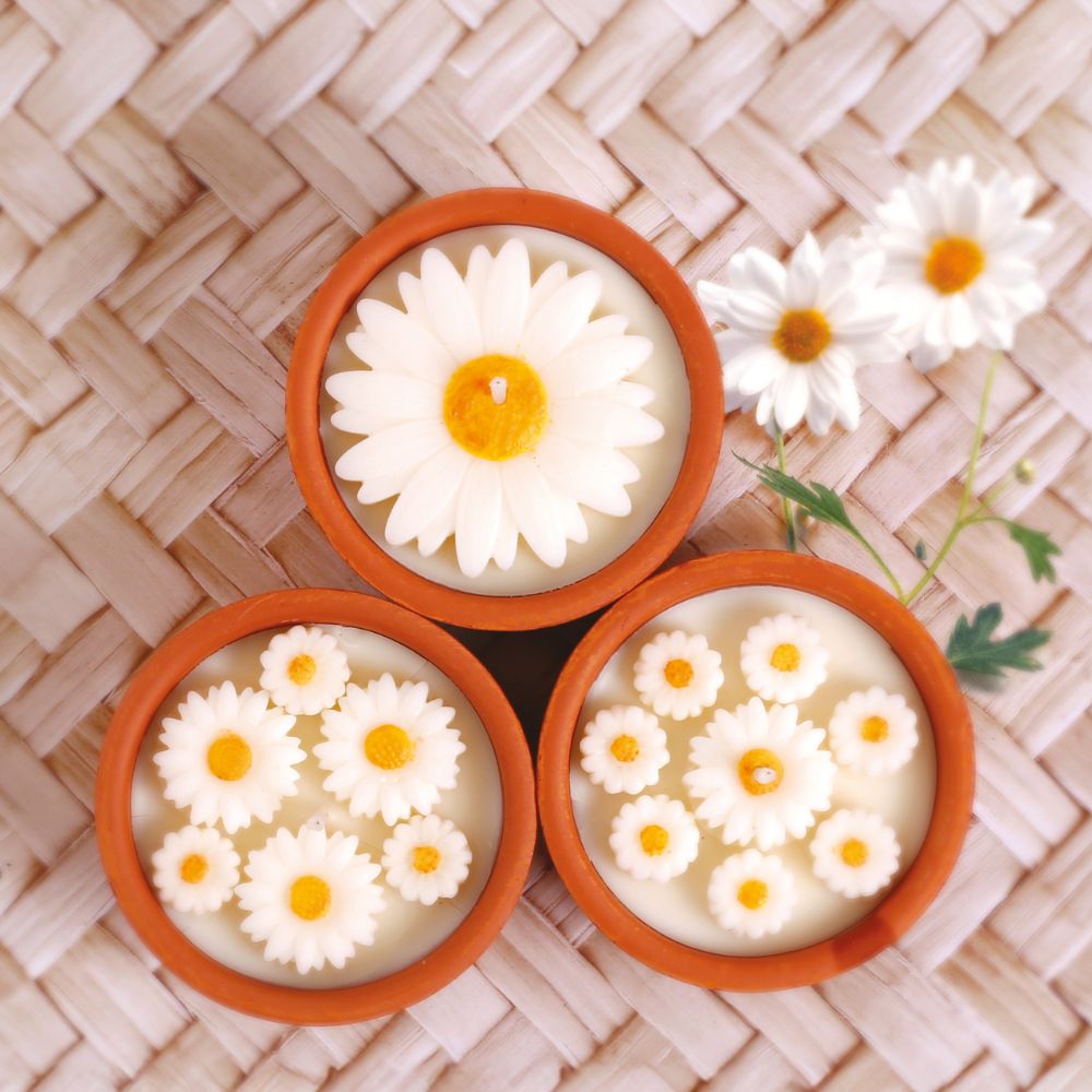 Graine Creative DIY Candle Making Kit - Daisy