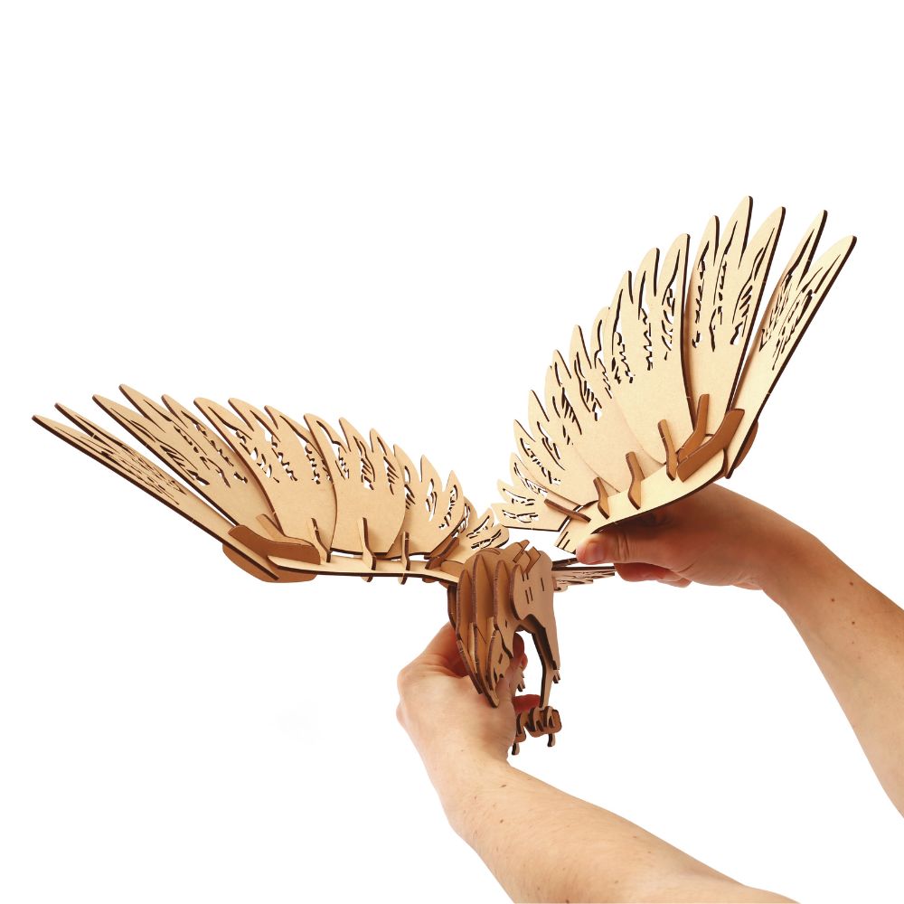 Graine Creative Wooden 3D Model - Condor