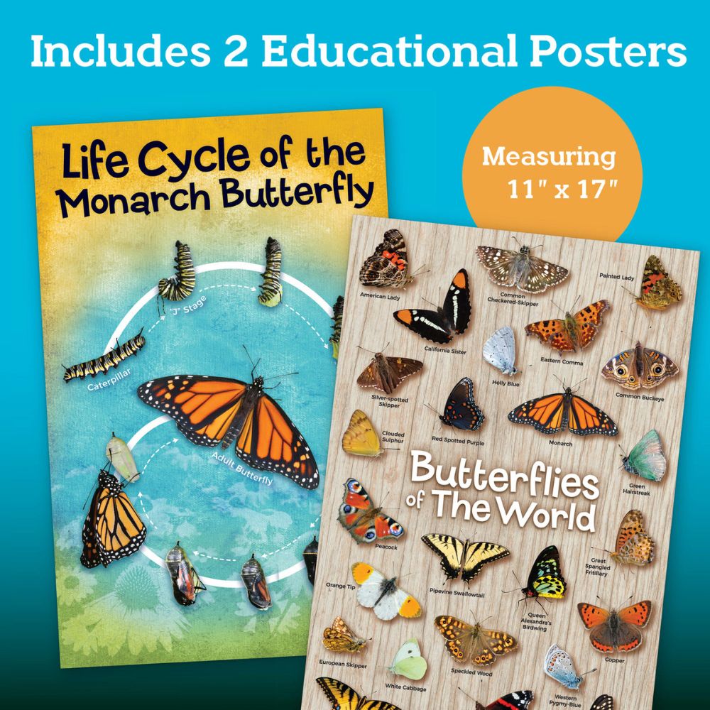 MindWare Make Your Own Butterfly House Craft Kit