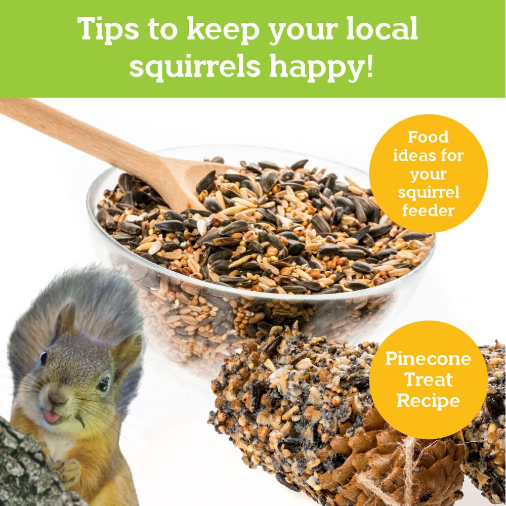 MindWare Make Your Own Squirrel Feeder Craft Kit