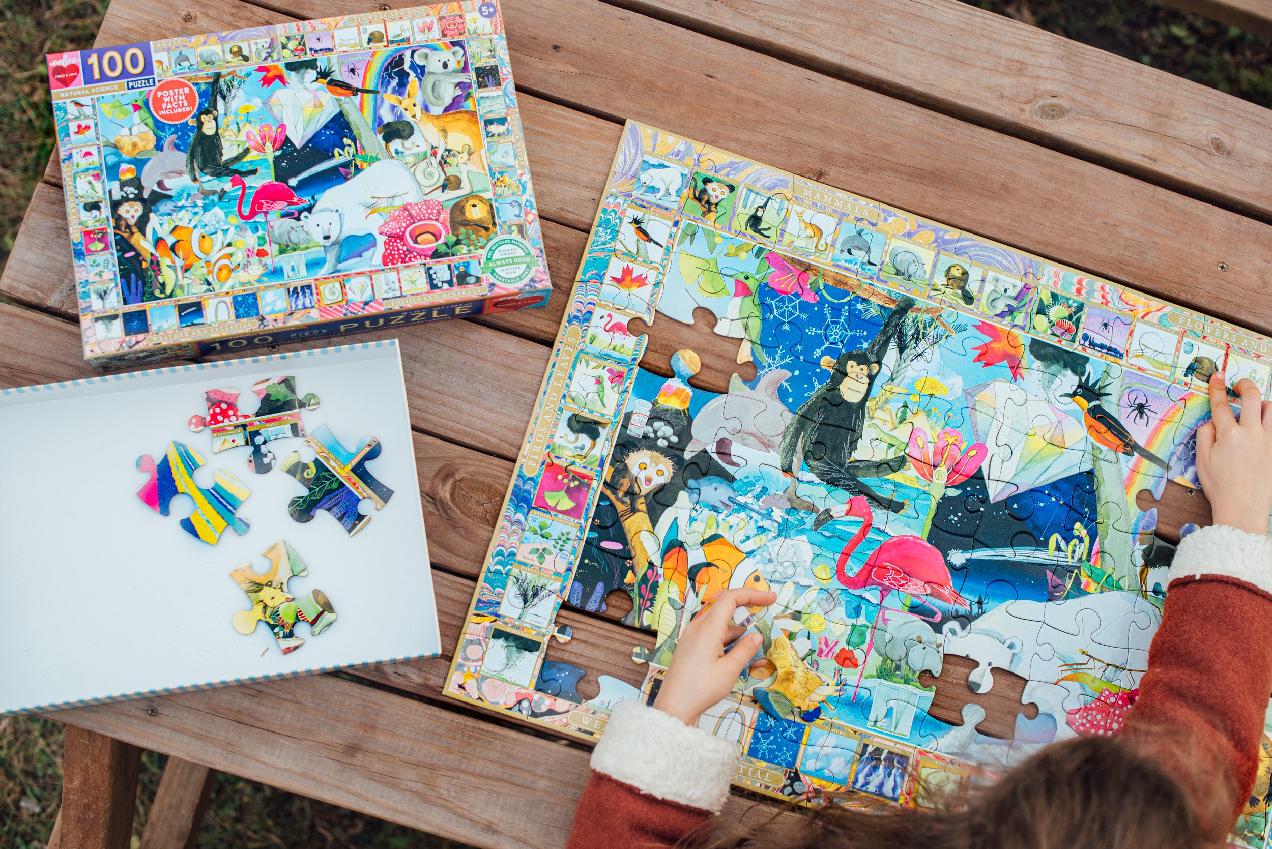 eeBoo 100 Piece Jigsaw Puzzle - Natural Science