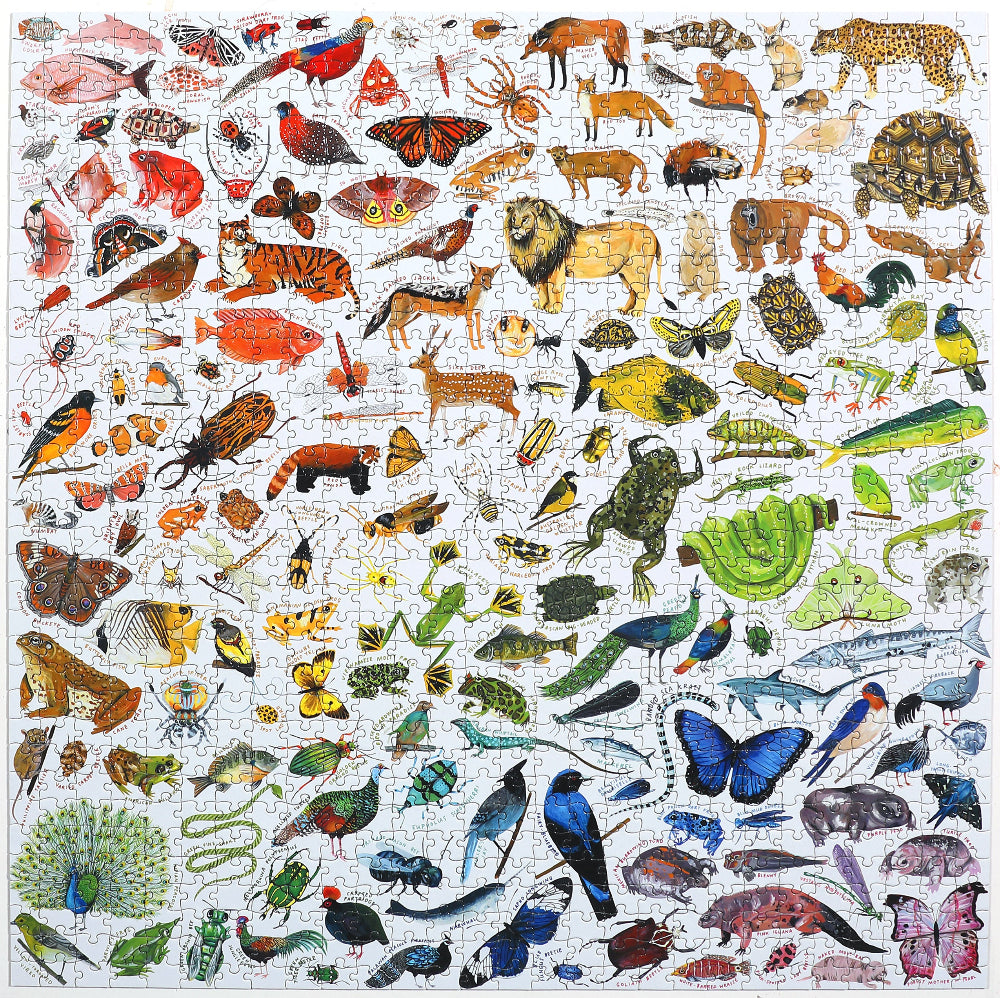 eeBoo 1000 Piece Jigsaw Puzzle - A Rainbow World