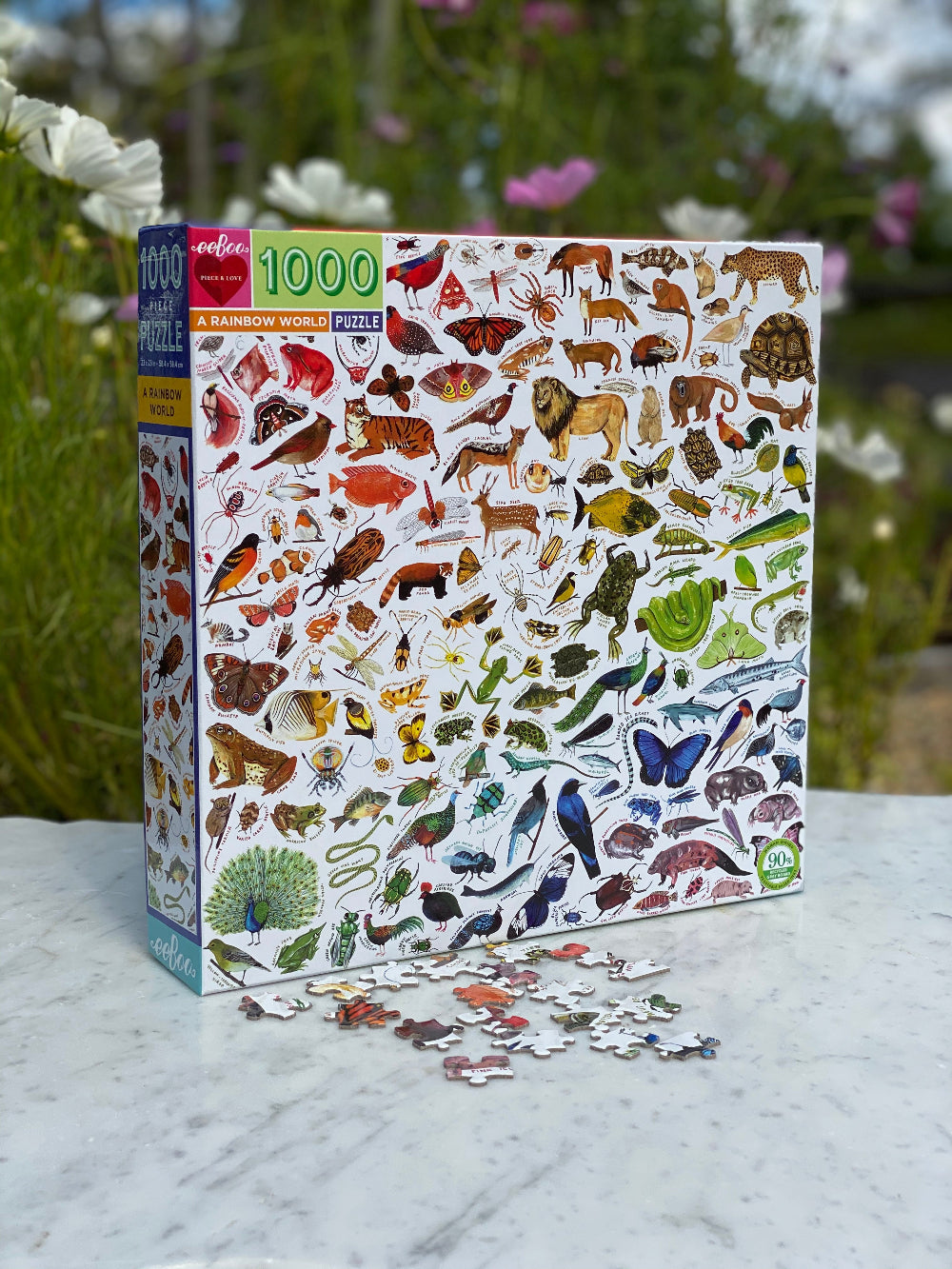 eeBoo 1000 Piece Jigsaw Puzzle - A Rainbow World