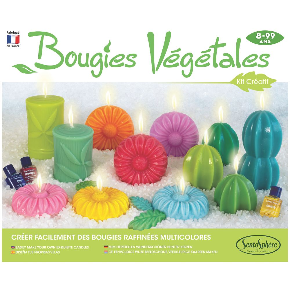 Sentosphere Vegan Candles Workshop image 3