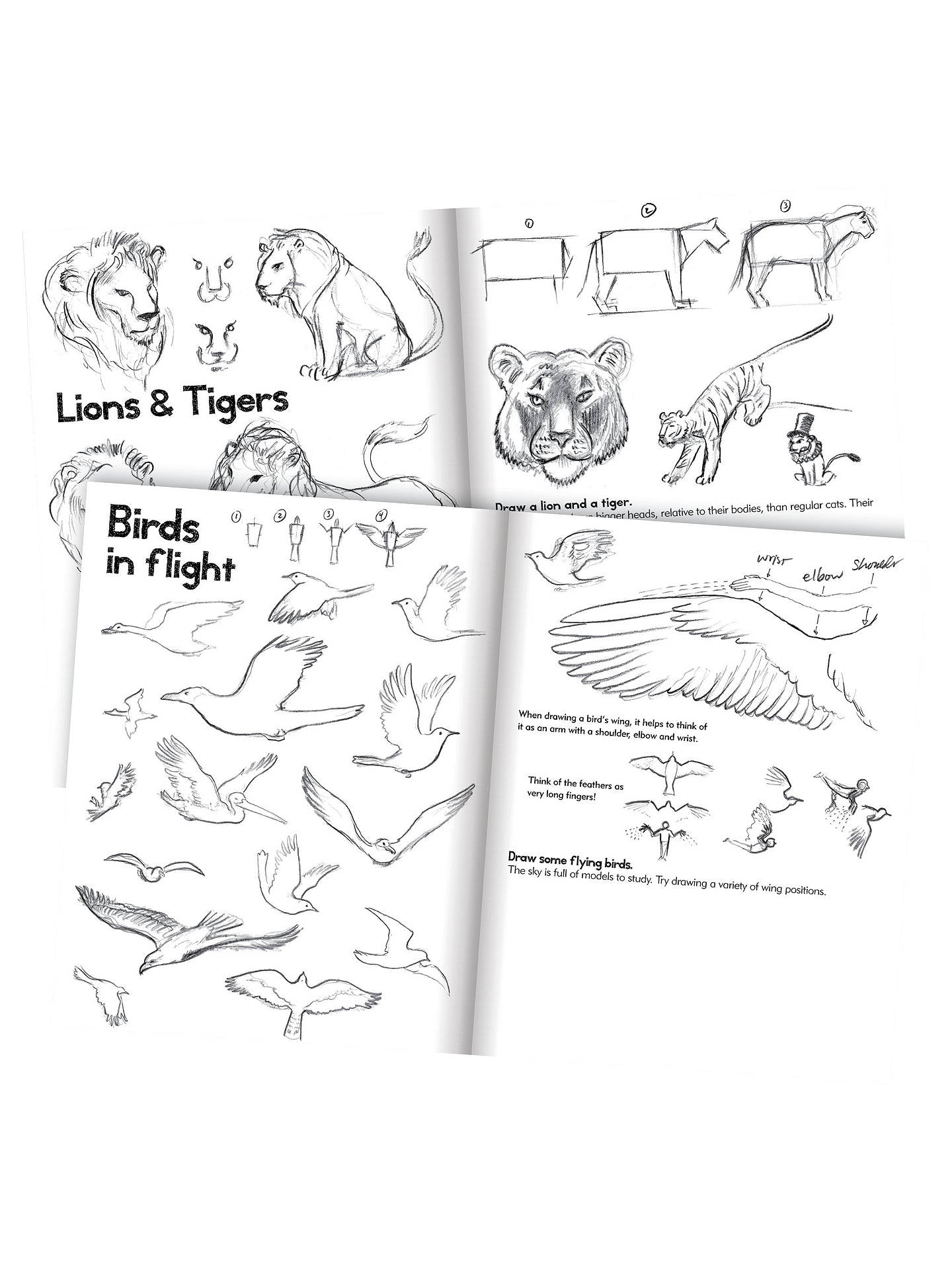 eeBoo Learn To Draw Animals